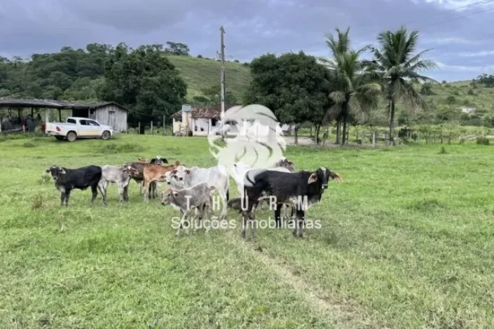 Fazenda Guaratinga 770ha venda
