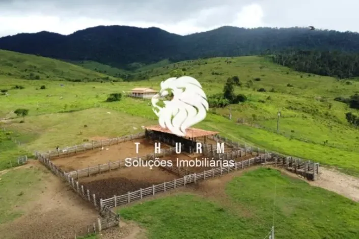 Fazenda em Itapebi 969ha venda