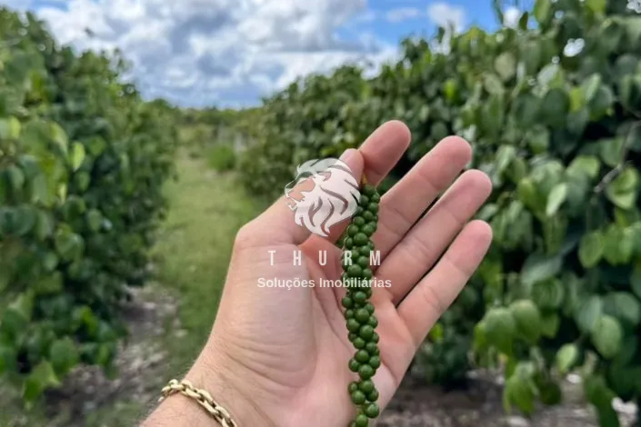 Sitio Porto Seguro 8 hectares venda