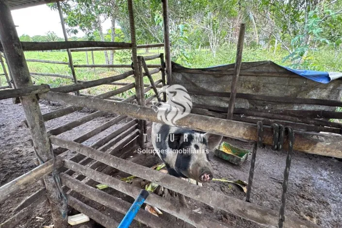 Sitio Porto Seguro 8 hectares venda