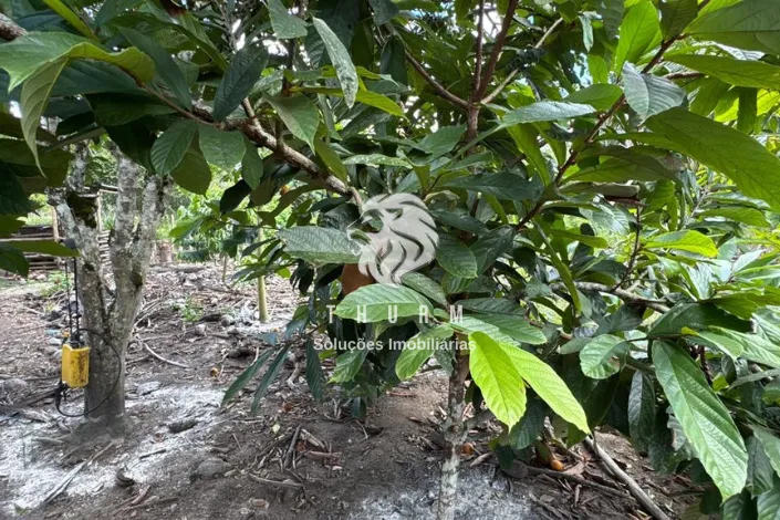 Sitio Porto Seguro 8 hectares venda